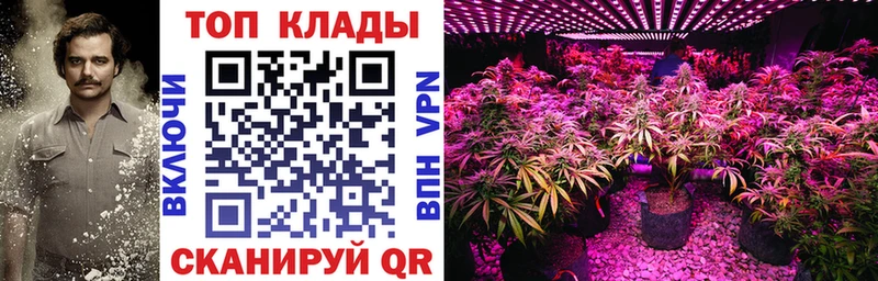 Что такое Краснозаводск Alpha PVP  мега сайт  ГАШ  Каннабис  МЕФ 