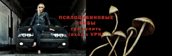 бутират Алзамай