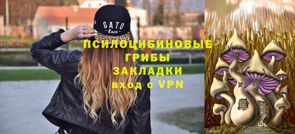 ГАЛЛЮЦИНОГЕННЫЕ ГРИБЫ Алексеевка