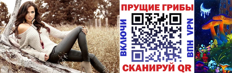 хочу Краснозаводск Псилоцибиновые грибы прущие грибы